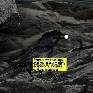 Слова песни луч надежды