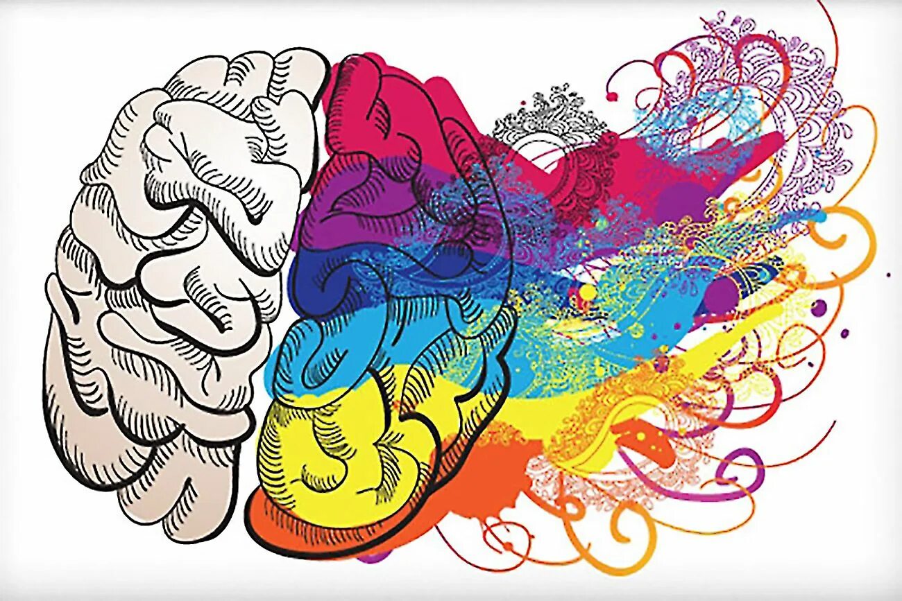 Colored brains. Мозг и искусство. Искусство и мозг арт. Искусство вектор. Культура и искусство вектор.