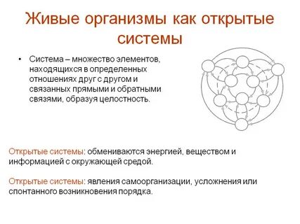 Открытая система