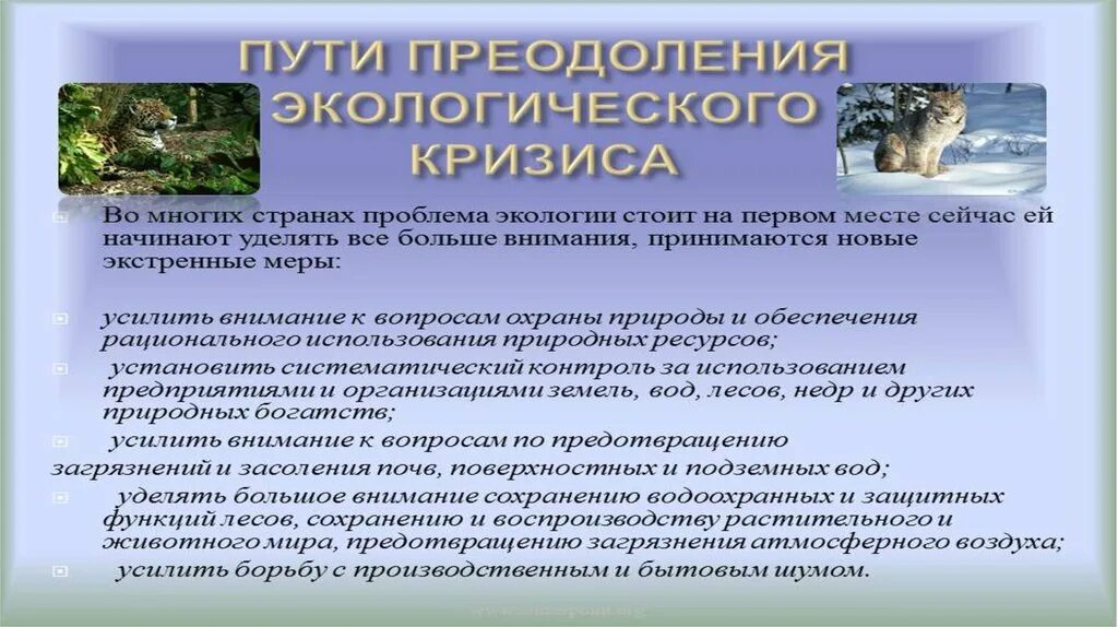 Доклад на тему экологический кризис. Экологический кризис решение проблемы. Основные причины экологического кризиса. Экологические катастрофы и пути их решения.