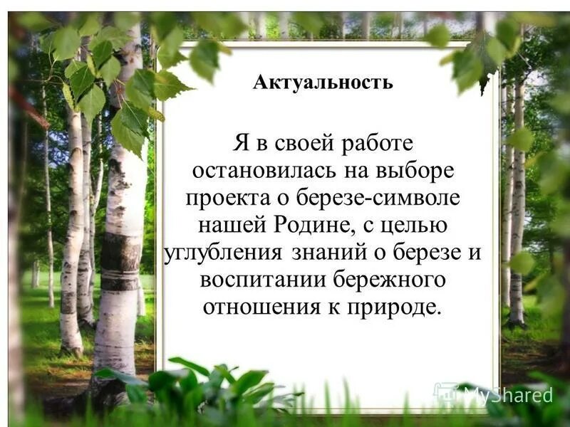 Береза символ россии презентация