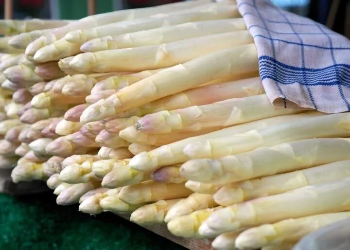 ASPARAGUS - MARY WASHINGTON (50 SEEDS) eBay