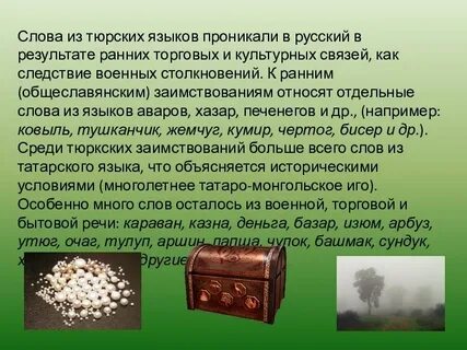 Слова пришедшие из италии