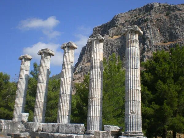 Колонны из храма Афины в Приене. Столбы храме Афины. Пять колонн. 5 Колонна.