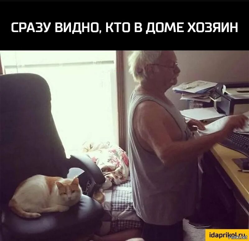 Хозяин в доме 0. Хозяин в доме. Кот и хозяин. Кот в доме хозяин. Хозяин в доме прикол.