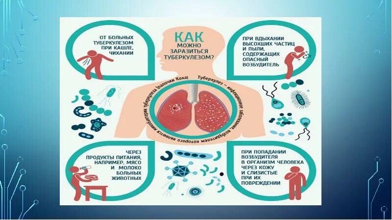 Как сделать туберкулез. Интересное о туберкулёзе. Туберкулёз меры предосторожности. Туберкулез презентация. Интересные факты о туберкулезе.