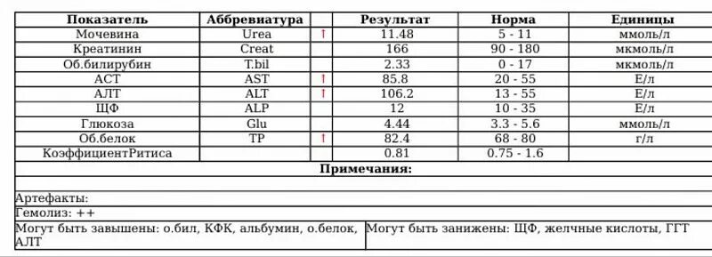 Норма аст у женщин после 60