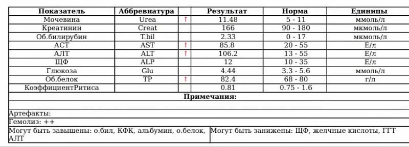 Аст 60 в крови у мужчин