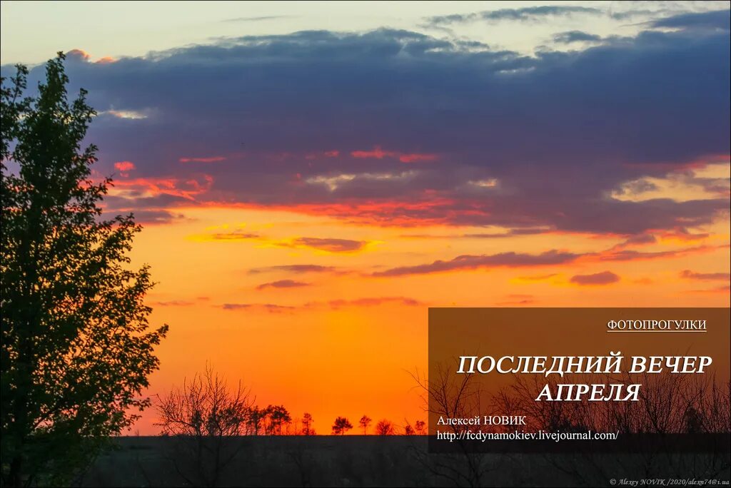 Последним вечером читать. Последним вечером читать. Последний вечер рассказ. Последним вечером читать. Последним вечером читать.