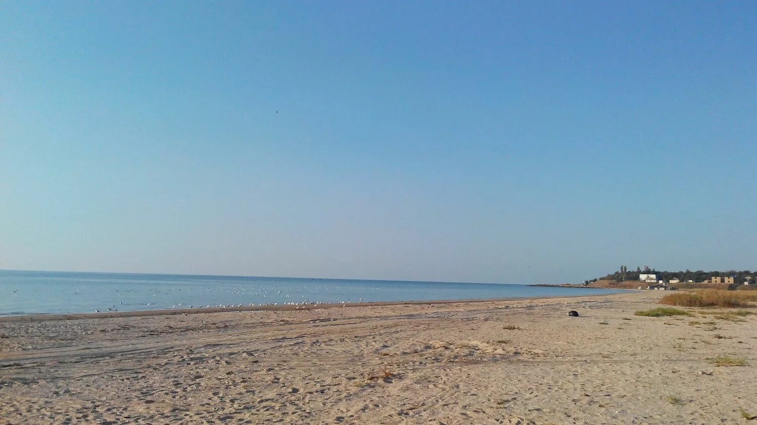 Пляж в приморке ростовская область. Село приморка ростовская область. Приморка отдых на азовском море. Село приморка ростовская область пляж. Азовское море приморка.