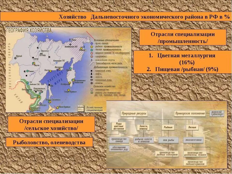 Отрасли хозяйственной специализации россии. Отрасли промышленности дальнего Востока экономического района. Дальневосточный экономический район отрасли специализации и центры. Карта Дальневосточный экономический район природные ресурсы. Отрасли специализации сельского хозяйства дальнего Востока центры.