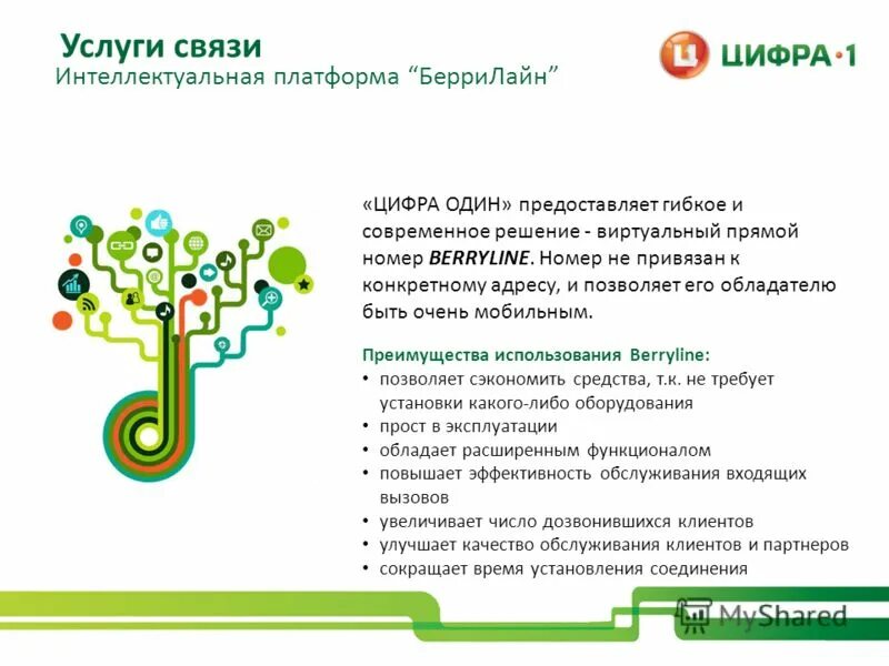 Цифра 1 защита проекта Задачи на тему выборы
