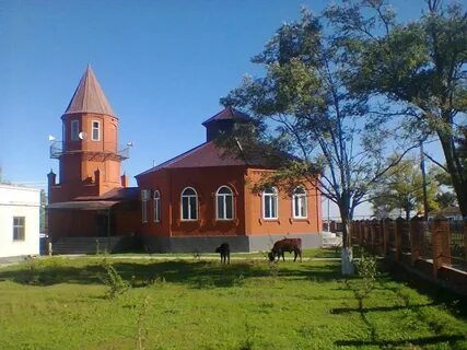 Погода сарысу чеченской республике шелковской