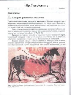 Текст биология 7 класс