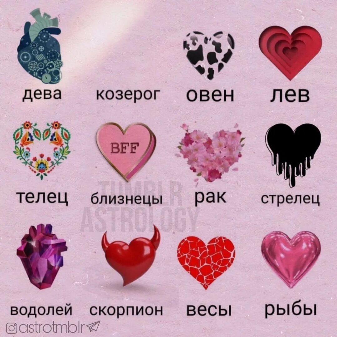 Какие как лучше всего