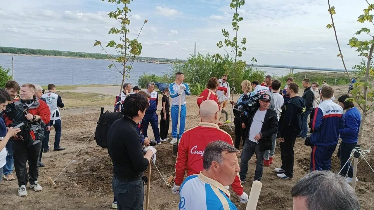 Новости главное 2015. Посадка деревьев. Участники мероприятия. 1 Мая футбол Волгоград. Церемония высадки деревьев сад памяти.