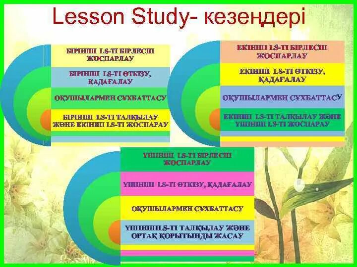 Lesson study. Lesson study