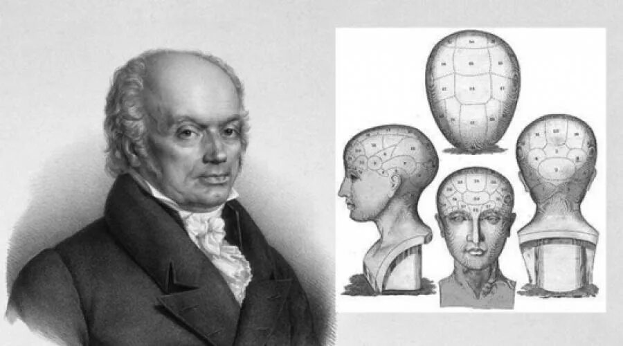 Френология френсис галь. Френология франца галля. Френология франца галля. Галля. Галль френология.