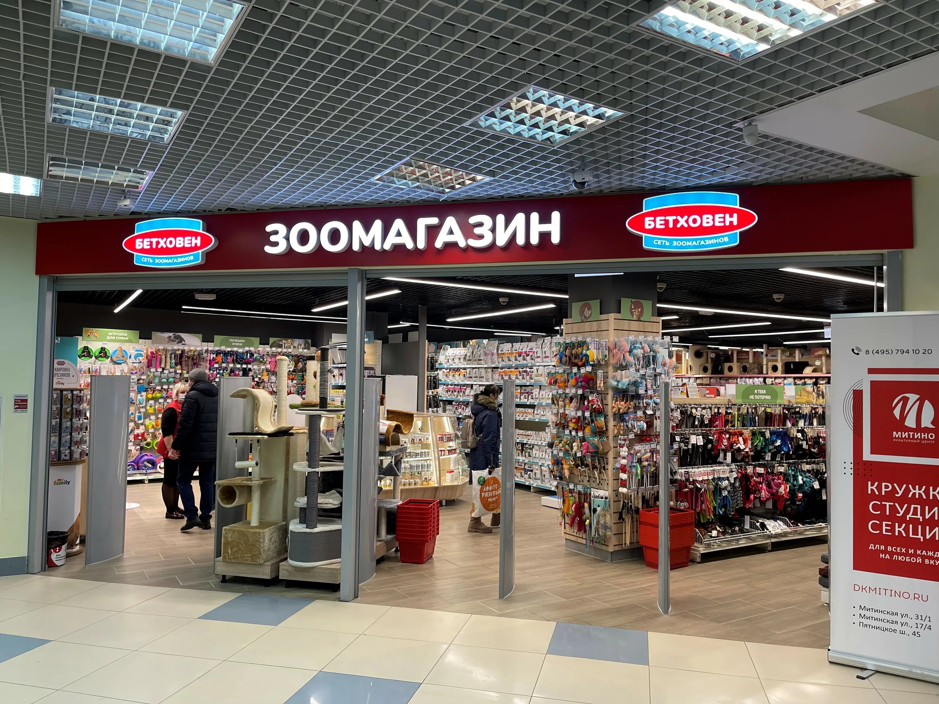 Сеть зоомагазинов бетховен. Бетховен зоомагазин южно сахалинск. Бетховен интернет. Магазин бетховен ладожская. Зоомагазин бетховен в москве.