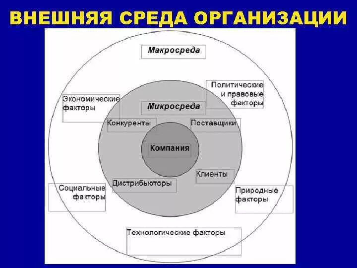 Элементы которые определяют организацию. Факторы макросреды факторы микросреды и факторы. Микросреда маркетинга. Факторы микросреды. Микросреда внешней среды предприятия. Маркетинговая среда фирмы схема.