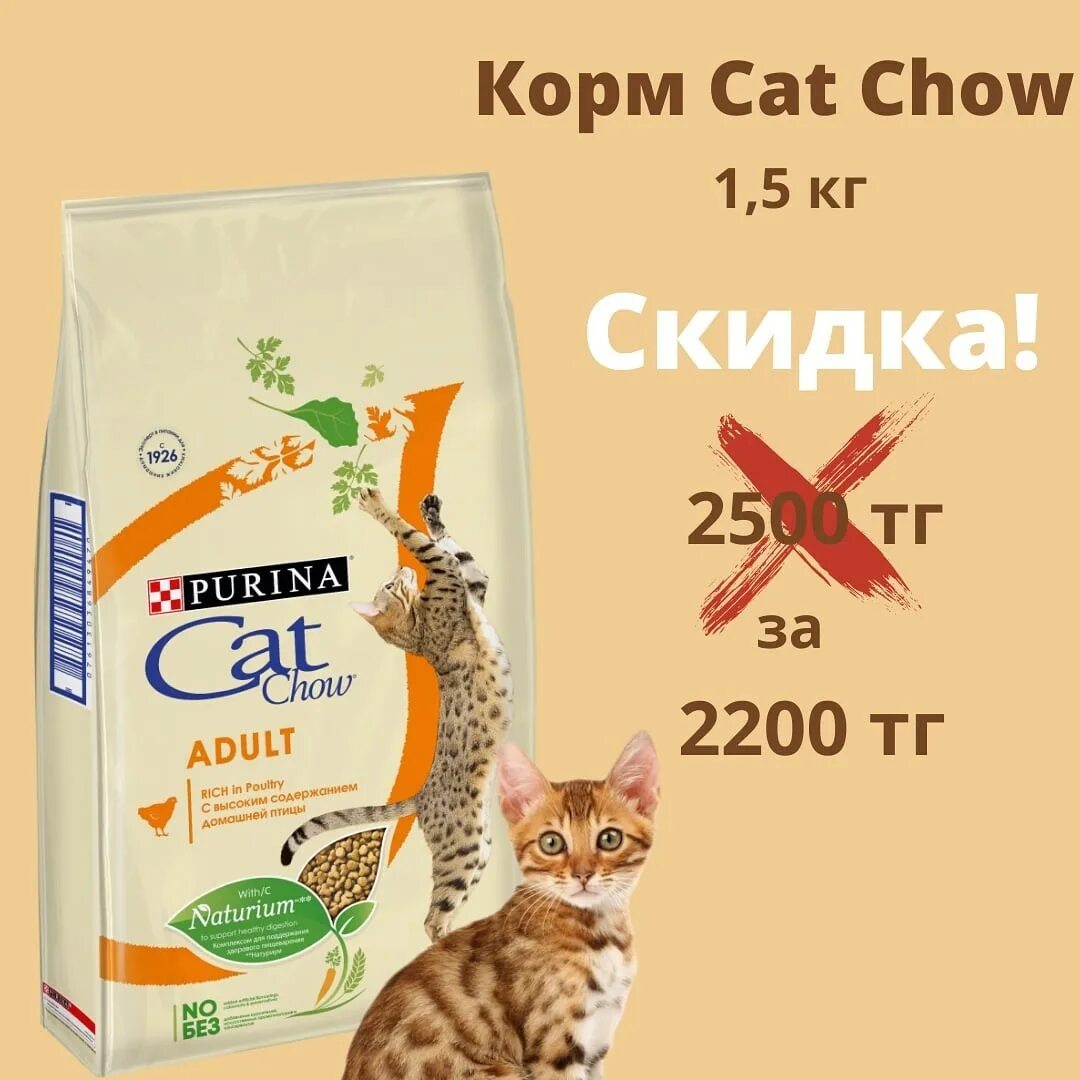 Корм для кошек 5 кг. Cat Chow 1,5. Плохие корма для кошек. Самые плохие корма для кошек сухие. Сухой корм для кошек картинки.