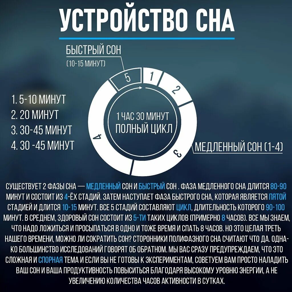 Сплю по 15 часов. Полифазный сон. Система сна. Схемы полифазного сна. Фазы сна инфографика.