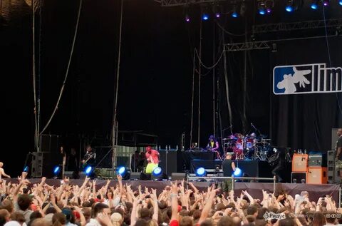Roof live 2024