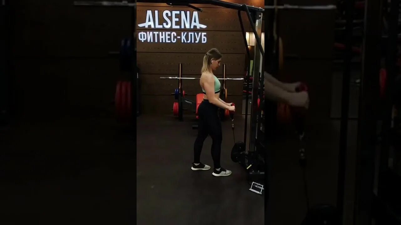 Алсена