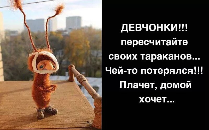 тараканы в голове карикатуры. пересчитайте своих тараканов чей-то потерялся. анекдот про тараканов в голове. эрик харрис и дилан клиболд росляков. объявление в доме тараканы.