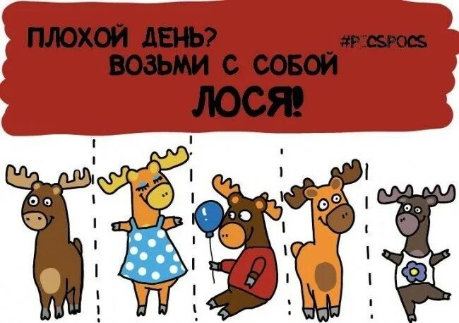 Плохой день сяхаты. Возьми с собой. Плохой день возьми с собой. Плохой день возьми с собой лося. Возьми настроение с собой.