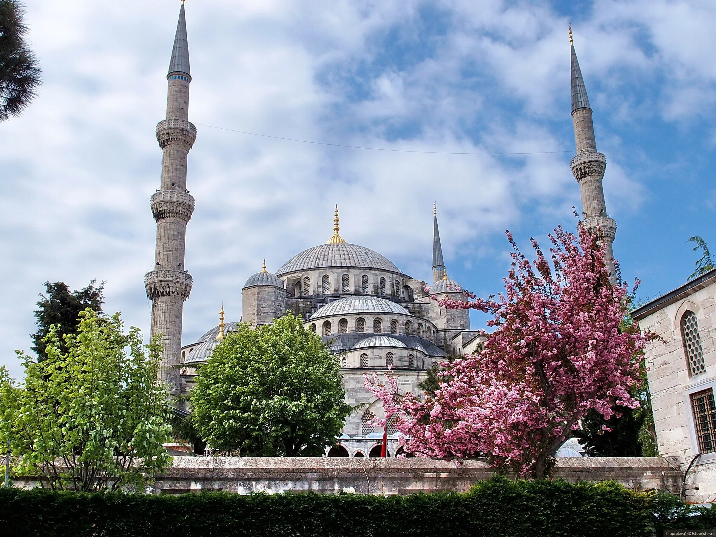 Стамбул часовой. Султанахмет Стамбул тюльпаны. Мечеть Сулеймание. Стамбул мечеть Магнолия.