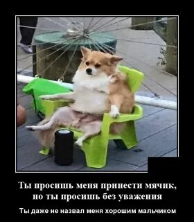 Уважение приносить