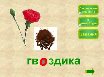 Лексическое значение к слову трава