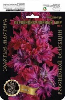 Гладиолус перпендикулярный мир