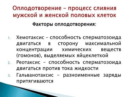 Оплодотворение подруги