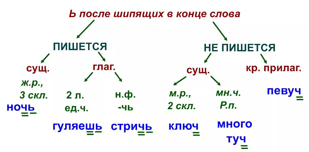 Слова с am в конце слова. Ь знак после шипящих 4 класс правило. Правило правописания ь знака после шипящих. Правило написание ь знака на конце слов после шипящих. Ь после шипящих правило 5 класс.