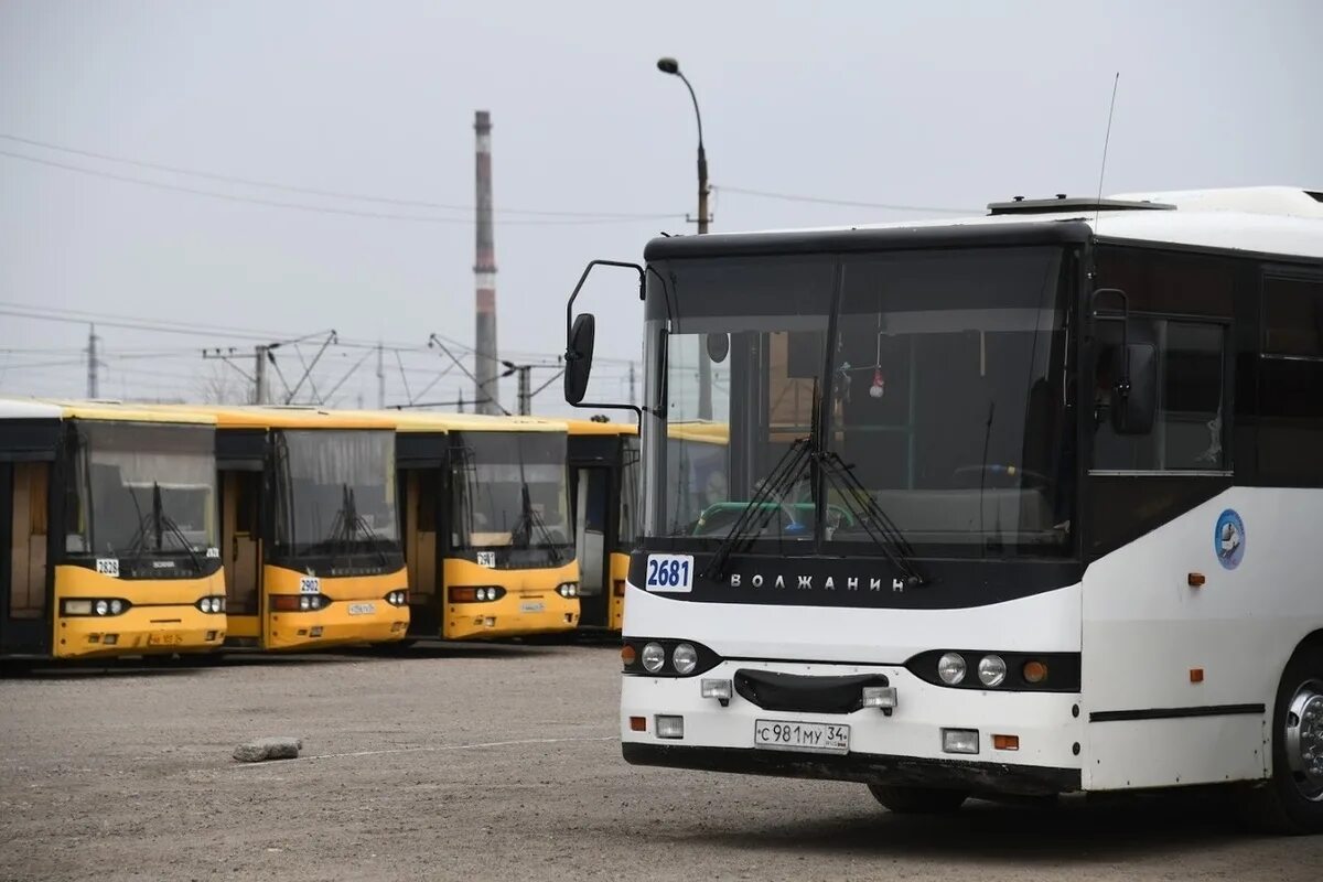 Волгоградский автобус. Автобус Волгоград. Общественный транспорт Волгограда. Автобус 9 Волгоград. Автобусы ру краснодар