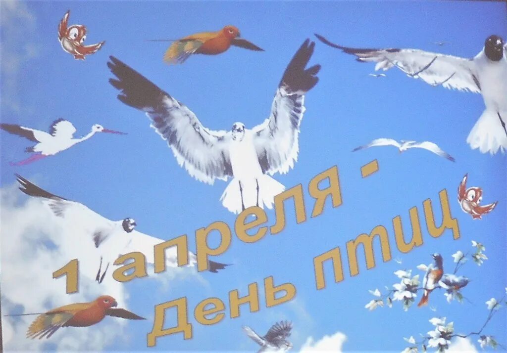День птиц. Всемирный день птиц. 1 Апреля день птиц. Международный день птиц плакат.