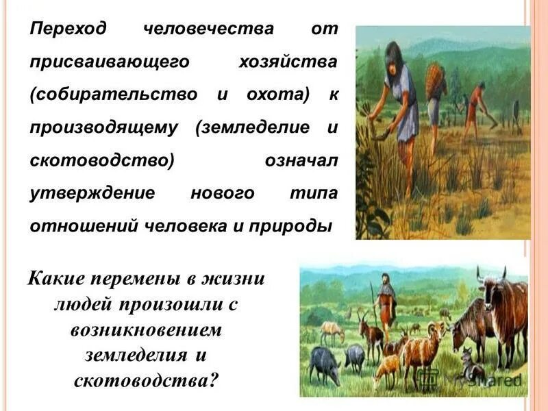 первобытное общество неолит земледелие. первобытное земледелие первобытное скотоводство. присваивающее хозяйство неолитическая революция. переход от собирательства и охоты к земледелию и скотоводству. зарождение земледелия и скотоводства.