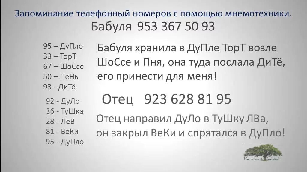 Запоминание телефонных номеров. Запоминание номеров телефонов Мнемотехника. Мнемоническое запоминание цифр. Мнемотехника цифры. Запомнив номер телефона ты сможешь