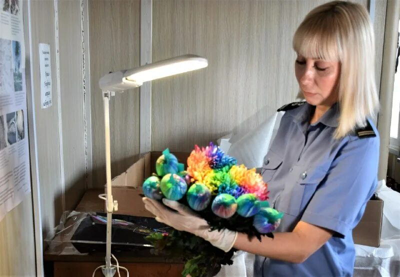 приморском межрегиональное управление россельхознадзора. приморское межрегиональное управление россельхознадзора. россельхознадзор южное межрегиональное управление форма.