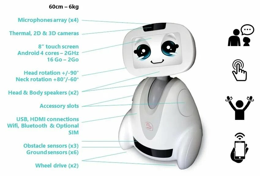 Робот Бадди. Робот buddy и must Lite. Mini cute Robot. Робот бади