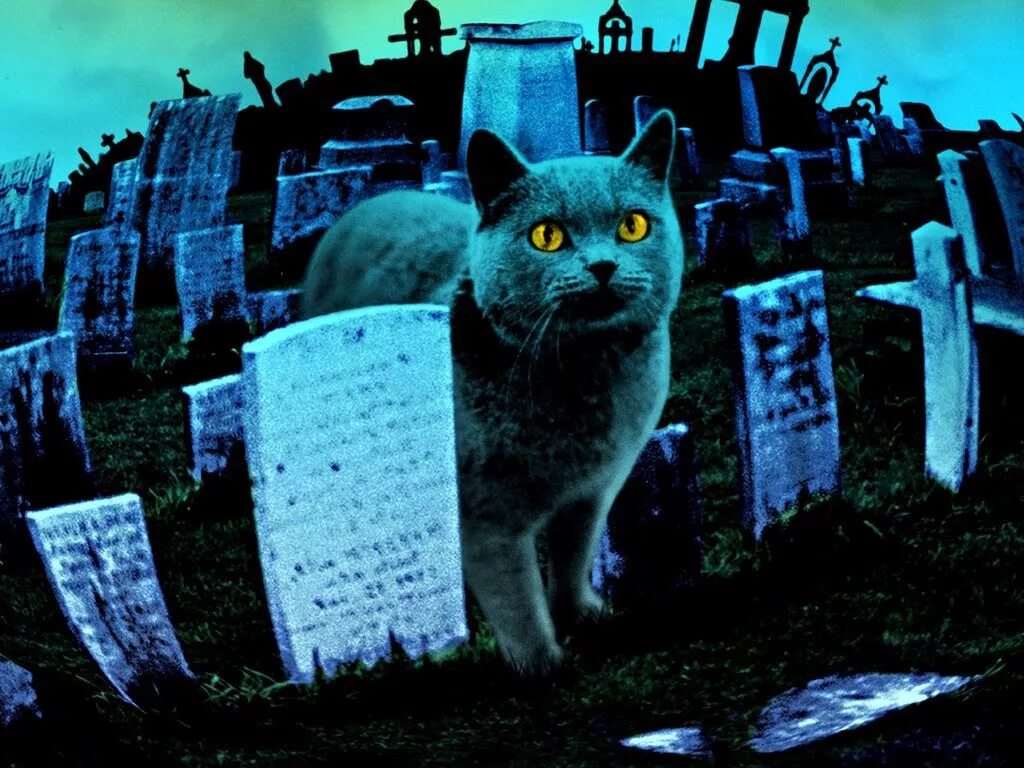 Pet cemetery. Кладбище домашних животных Черч.