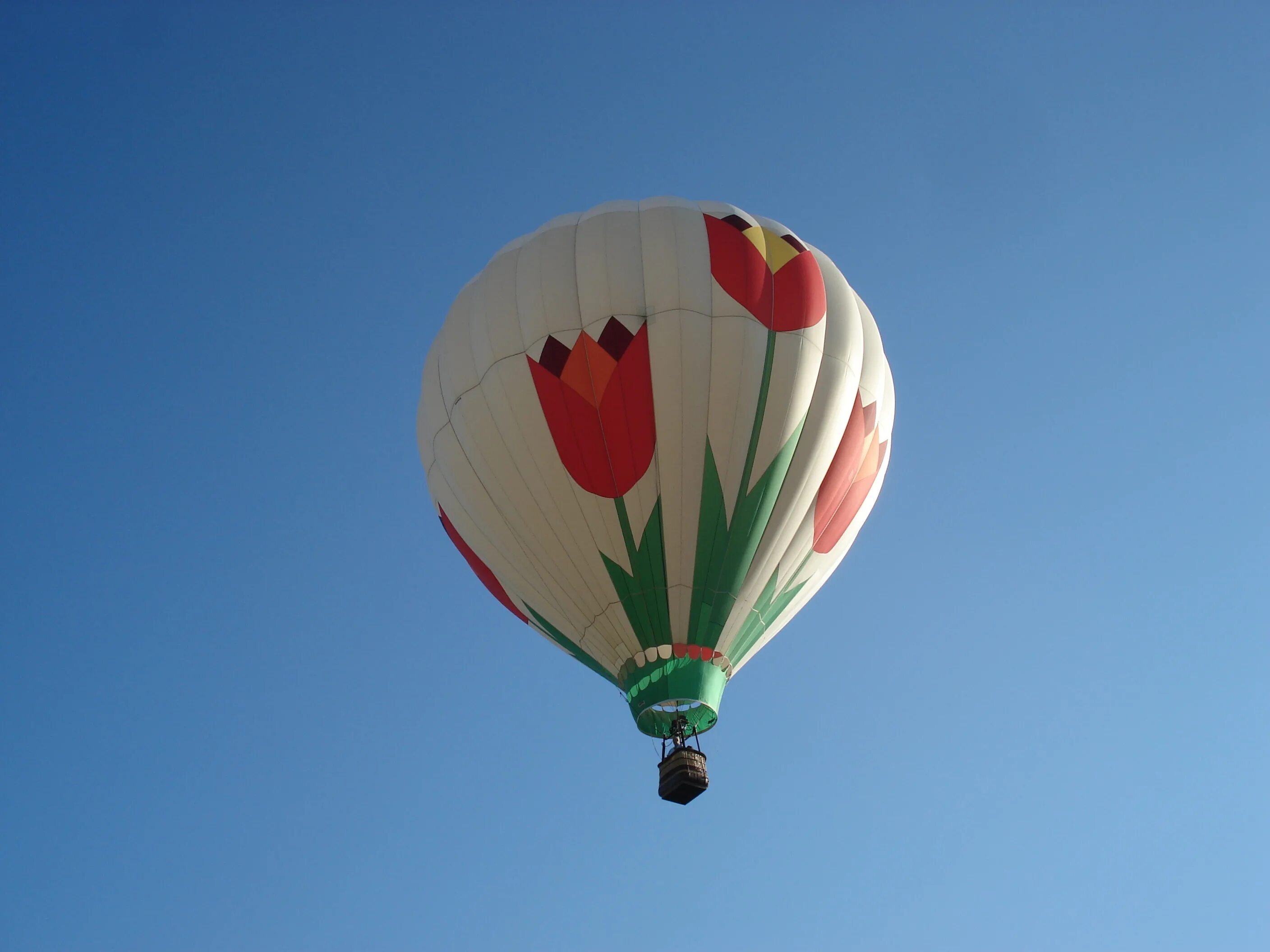 Воздушные шары. Воздушный шар с корзиной. Необычный воздушный шар. Воздушный шар в небе.