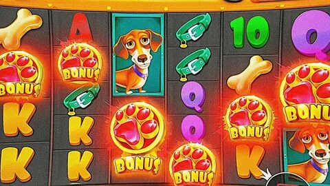 Slot dog house 1win на реальные деньги