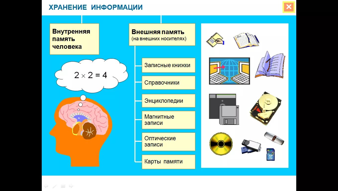 Хранение информации. Хранение информации примеры. Внешняя память человека. Хранение информации это в информатике. Сообщение по информатике 8 класс