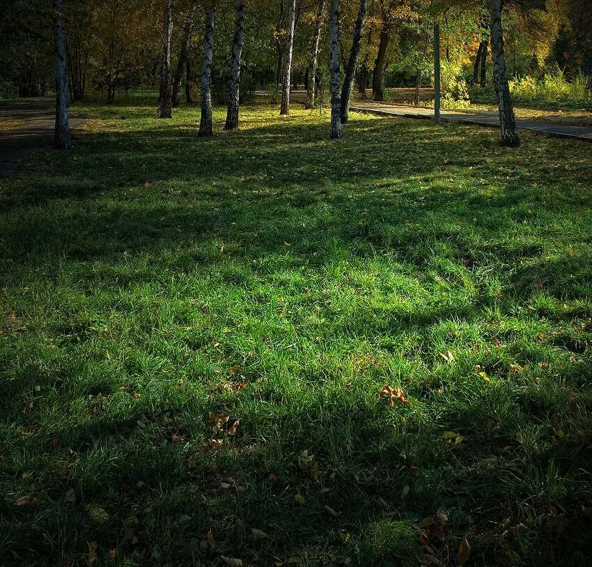могила льва николаевича толстого. автор поляны. река молодынь киржачский район. толстого.