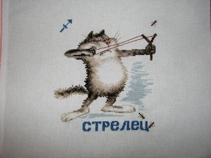 Кот стрелец