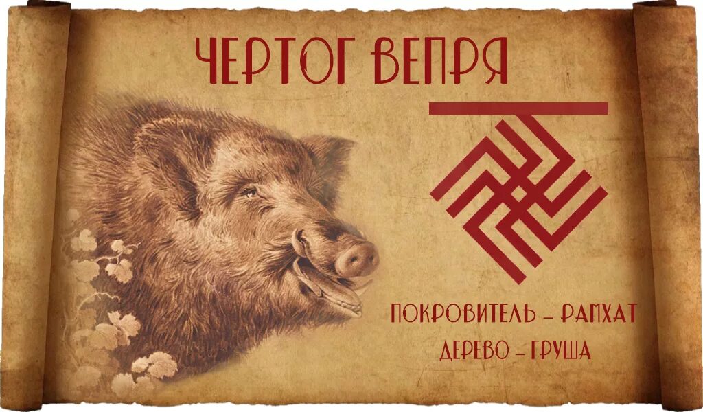 Дикий вепрь по славянскому. Символ вепря у славян. Белый филин по славянскому календарю. Символы славян по дате рождения. Чертог вепря рамхат.