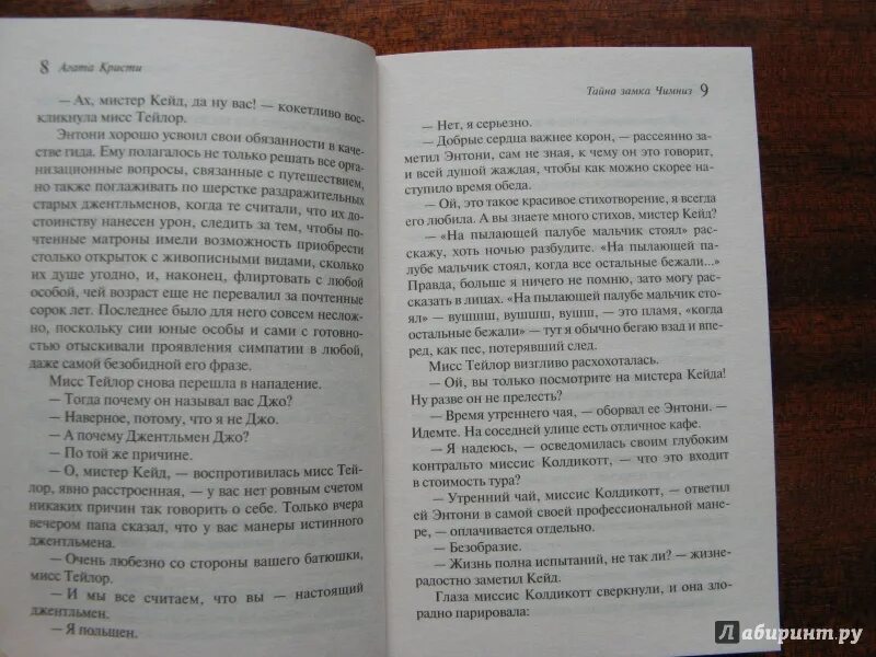 Тайны замка содержание. Тайна замка чимниз. мальчик стоял на пылающей палубе.